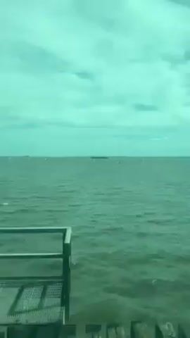 From a low angle near a wooden pier, the video captures a tranquil seascape on a day with a slightly cloudy sky. The water, a calming green-grey hue, extends to the horizon where numerous small boats dot the view. The camera smoothly pans to the right, revealing a metal railing on the pier.