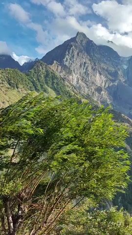 The video shows a mountainous landscape with lush green trees in the foreground. The trees' branches and leaves are swaying vigorously, suggesting strong winds. Behind the trees, towering mountains rise up, with rugged terrain and patches of snow or ice visible on their slopes. Multiple waterfalls cascade down the steep mountain faces, disappearing into the ravines below. The sky above is partly cloudy with patches of blue visible. The camera pans slightly to capture different views of the mountains and waterfalls.