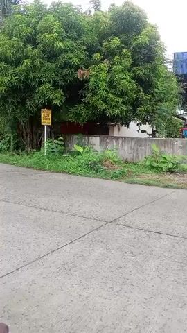A video shows a passing shot from a vehicle of a street with a mango tree on the left and a building with blue siding and yellow lettering on the right. The lettering appears to say #Sulong Pa More Quezon! Cong. Mark Enverga. A concrete wall runs along the front of the building. A yellow sign with red lettering is visible near the mango tree.