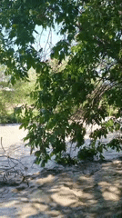 Turbulent sediment-heavy river flows through Goryachevodsky, Russia