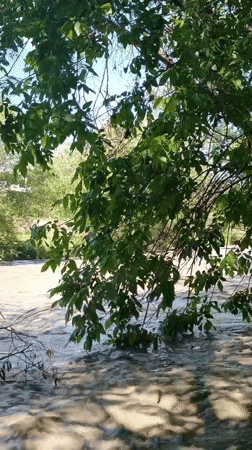 Turbulent sediment-heavy river flows through Goryachevodsky, Russia