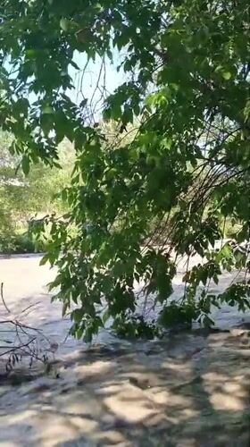 Turbulent sediment-heavy river flows through Goryachevodsky, Russia