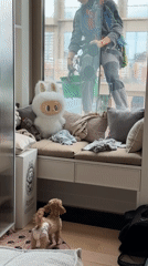 Window cleaner works outside Moscow apartment bay window