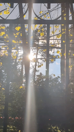 Spring afternoon documented in Kobuleti parks and beaches
