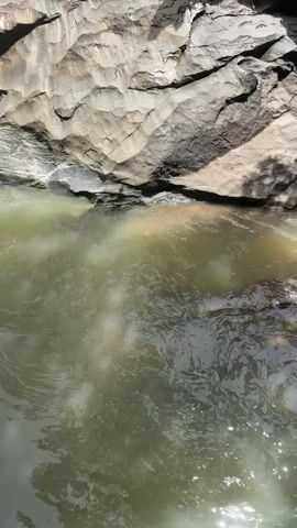 The video shows a narrow stream flowing over rocks in a natural environment. The water is somewhat murky, with a greenish-brown hue. Large rocks are visible on the banks of the stream, some appearing worn and smooth from the water's flow. The surrounding area is dense with vegetation, including trees and green foliage, which create dappled shadows on the water and rocks. The scene is illuminated by natural sunlight, suggesting it is daytime. The camera appears to be positioned at ground level, looking down into the stream and slightly upwards towards the trees. There are no people or animals visible in the video.