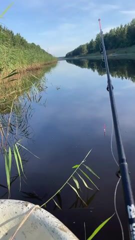 The video shows a first-person perspective of someone fishing from a boat on a calm river or canal. A fishing rod extends into the frame from the right, with a red and white float visible in the dark water. Tall reeds line the left bank of the waterway, and trees are visible on the distant right bank. The sky is blue with a few white clouds, and the water reflects the sky and trees. There is no visible movement of people or animals, and the scene appears peaceful and still.