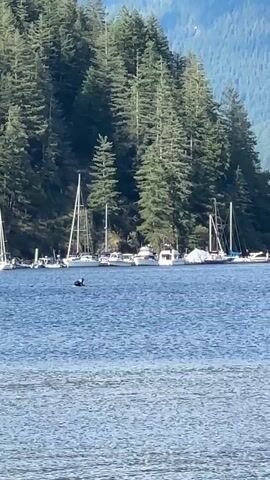 A person is paddleboarding on a body of water. The person is wearing dark clothing. There are several sailboats and motorboats anchored in the background. A densely forested hillside rises behind the boats. The water is blue and appears calm. The sky is clear and the sun is shining.