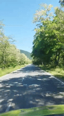 Morning drive through blooming countryside near Gurkovo, Bulgaria