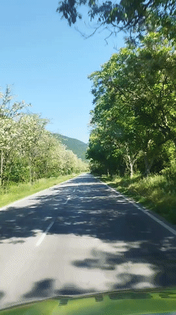 Morning drive through blooming countryside near Gurkovo, Bulgaria