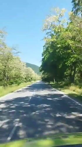 Morning drive through blooming countryside near Gurkovo, Bulgaria