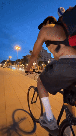 Evening cycling tour through Barcelona's Port Olímpic waterfront