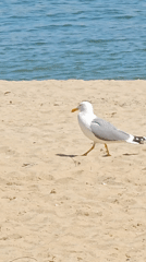 Morning scenes captured around Varna's coastline and historic sites