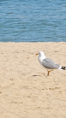 Morning scenes captured around Varna's coastline and historic sites