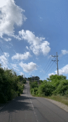 Winding road through lush greenery in rural Sumbawa