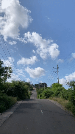 Winding road through lush greenery in rural Sumbawa