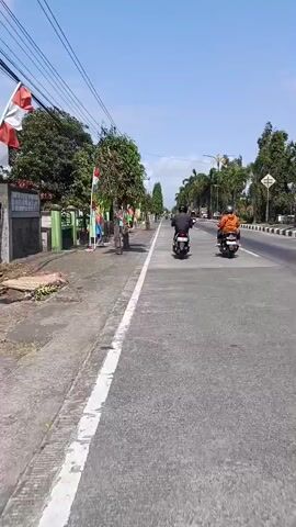 The video shows a view from a moving vehicle, likely a motorcycle or car, traveling down a paved road. Two motorcyclists are visible ahead in the right lane. The left side of the road has a sidewalk and trees, some decorated with flags. The right side of the road is lined with palm trees and other foliage. The sky is clear and blue, indicating a sunny day. The scene appears to be a suburban or semi-rural area.