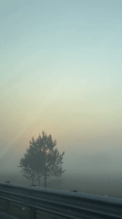 Heavy fog reduces visibility in Cuapiaxtla, Mexico