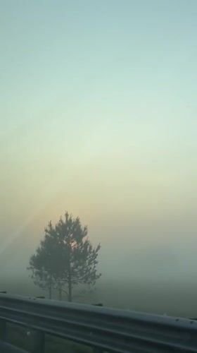 Heavy fog reduces visibility in Cuapiaxtla, Mexico