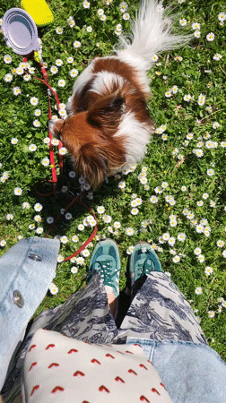 Casual morning moments captured outside Budva storefront