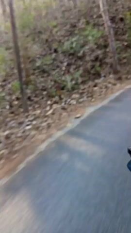 The video shows a first-person perspective of someone riding a bicycle on a paved road that winds through a wooded area. Trees with bare branches line both sides of the road, with some foliage visible. The road surface is gray asphalt, with a white line marking the edge on the right side. In the distance, another cyclist in a yellow shirt can be seen riding uphill. The rider's hand and handlebars are visible in the foreground. The overall scene suggests an outdoor cycling activity in a natural environment.