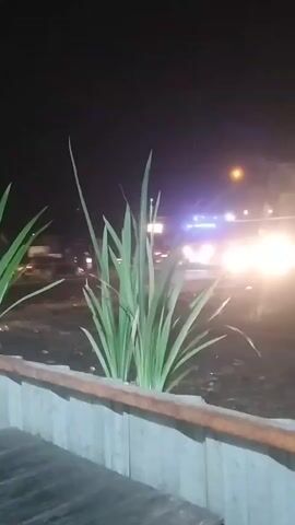 The video, captured at night, shows a street scene from behind a low, light-colored wall with a rustic wood top. In the foreground, a cluster of tall, green, blade-like plants stands out. Beyond the plants, a dark, unpaved surface appears to be the ground or shoulder of a road. The background is dominated by the dark night sky, illuminated by vehicle headlights and what appears to be streetlights or building lights. Multiple vehicles are visible, their headlights creating bright, hazy glows. One vehicle in the middle ground has its brake lights illuminated, and another vehicle to the right is also brightly lit by its headlights. The overall impression is of a roadside view at night with passing traffic.