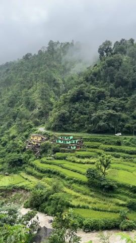 This is a vertical, shaky, medium shot of a mountainous landscape with dense green trees covering the slopes. Terraced fields of bright green crops are visible on the hillsides, with a winding road cutting across them. A few small, colorful houses are nestled on the slopes. A white vehicle is seen driving on the road. A muddy river flows at the bottom of the frame. The sky is overcast and misty. The scene evokes a sense of rural, natural beauty.