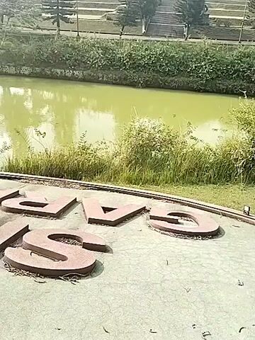 The video presents an outdoor scene, likely a park or landscaped area in Tohkuning, Indonesia. In the foreground, large, flat, reddish-brown letters are arranged on a light green or grey paved surface, spelling out "BOGOR." The letters appear to be made of a solid material such as concrete or stone, with some dry grass or debris accumulated around their bases.

Behind the sign, a calm pond with distinctly green-tinted water stretches across the midground. The water reflects the surrounding trees and sky, though the reflections are somewhat blurred. Sparse vegetation and taller grass line the edge of the pond.

The background features a variety of trees, including several tall, slender, conical evergreens (possibly pines) and other broader deciduous trees, all contributing to a lush green landscape. Beyond the pond and trees, there's an expanse of grass and what appears to be a paved path or steps ascending a gentle slope, suggesting a larger park or garden layout.

The camera performs a slow, smooth pan from right to left, gradually revealing the full extent of the "BOGOR" sign and the wider landscape. The video was captured during daytime, under what appears to be a bright sky with some atmospheric haze, suggesting either morning or late afternoon. The overall impression is one of tranquility and natural beauty in a well-maintained setting. No people or specific activities are visible in the clip.