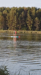 Paddleboarding and ducks on a calm Belarusian lake at sunset