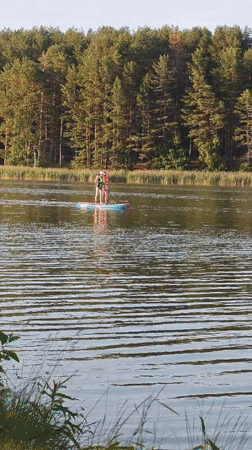 Paddleboarding and ducks on a calm Belarusian lake at sunset