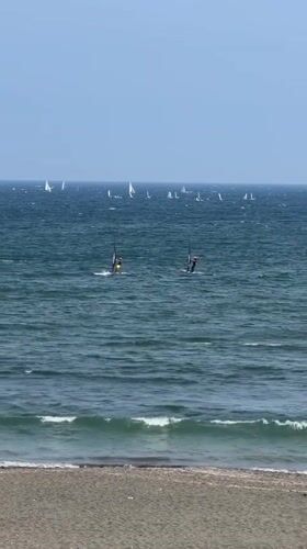 Morning beach life documented across Fujisawa and Kamakura coastal areas