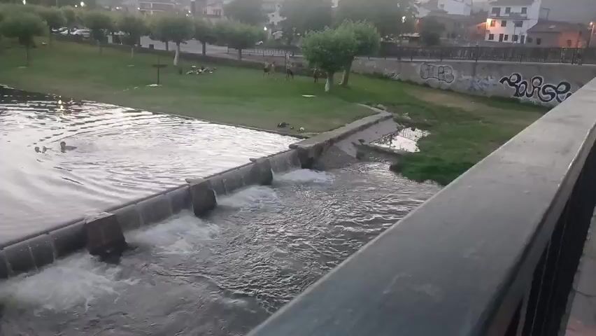 The video opens on a river with a man-made weir, causing water to cascade over it. On the left bank, there is grass and trees. Further back, a road runs parallel to the river, with cars and buildings visible. The sky appears overcast. In the river, two people are swimming or playing in the water. They are visible as dark shapes in the water, creating ripples around them. The camera pans slightly to the right, revealing more of the river and the weir. The overall impression is of a somewhat urban park or recreational area beside a river.