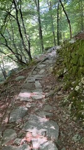 A POV shot moving along a winding stone path in a forest. The path is made of uneven, grey flagstones, some of which appear to be cracked or chipped. A wooden plank runs along the left side of the path, seemingly to reinforce the edge. The path is flanked on the right by a moss-covered stone wall. Tall, green trees with dense foliage form a canopy overhead, allowing dappled sunlight to filter through. The ground on either side of the path is covered with fallen leaves and loose stones. The scene suggests a hike through a natural, possibly mountainous, environment.