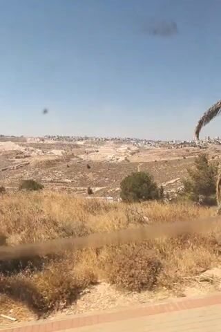 The video shows a moving shot of a dry, grassy landscape with a few scattered trees and a palm tree in the foreground. The sky is clear and blue. In the distance, there appears to be a city or town with buildings. The camera is mounted on a moving vehicle, likely a car or bus, as evidenced by the slight vibration and the side-view perspective. The overall impression is of a sunny day in a arid or semi-arid region.