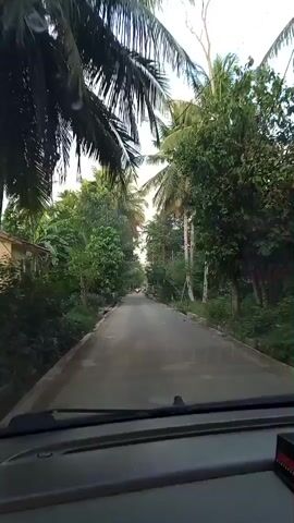 The video is a point-of-view shot from inside a vehicle driving down a paved road. The road is lined with lush, green tropical vegetation, primarily coconut trees. A motorcycle is traveling ahead on the same road. There is a vendor with a small stand and umbrella on the side of the road. The sky is overcast. The dashboard of the vehicle is visible at the bottom of the frame.