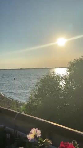 The video shows a wide shot of a body of water, likely a lake or ocean, under a bright, sunny sky. The sun is positioned in the upper right quadrant of the frame, casting a strong glare. On the left side of the water, a small, dark-colored boat with at least three people on board is visible, moving away from the shore. The shoreline is lined with stones and some vegetation. In the foreground, a railing or ledge is visible, with the tops of several flowers, some pink and white, in focus. On the right side of the frame, lush green trees partially obscure the view of the water. The overall impression is a peaceful, outdoor scene.