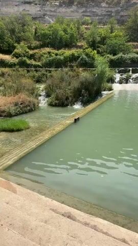 A serene outdoor scene unfolds as a body of water, appearing calm and slightly murky green, occupies the foreground and middle ground of the frame. A concrete embankment with visible steps is situated in the lower left corner, leading towards the water. A wooden barrier, approximately waist-high and constructed of several planks, divides the water, with a small gap visible in the center where water flows. To the left of this barrier, a section of water appears shallower and more agitated, with small cascades of water flowing over a series of natural rock formations. Lush green vegetation, including trees and bushes, covers the background, with a prominent rocky cliff face rising behind the trees. The overall impression is one of a tranquil natural setting, possibly a man-made reservoir or a section of a river modified for aesthetic or practical purposes. The lighting suggests daytime, with the sun casting subtle highlights on the water's surface. No people are visible in the video.