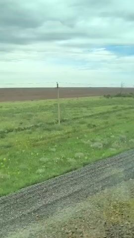 The video captures a scenic view from a moving vehicle, likely a train or car, traveling through a rural landscape in Syrt, Russia. The scene is dominated by vast, open fields under a cloudy sky. In the foreground, a rough, gravelly path runs diagonally across the frame, indicating the path of the vehicle. Beyond this, a lush green field stretches out, dotted with small yellow wildflowers. Further in the distance, a dark brown field suggests cultivated land, possibly a contrasting crop or fallow ground. A solitary wooden utility pole stands in the middle ground, a stark vertical element against the horizontal expanse. The overall impression is one of natural beauty and open space. The time of day appears to be daytime, with the clouds suggesting variable weather, perhaps a mix of sun and overcast. There is no visible text in the media file.