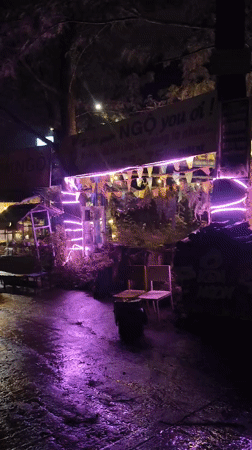 Nighttime tourism activity captured across Da Lat's wet streets
