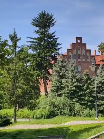 The video captures a panoramic view of an old brick building with an orange tiled roof, possibly a castle or a historical structure. The building features distinctive stepped gables and arched windows. Lush green trees and bushes surround the structure, creating a natural and somewhat overgrown ambiance. A cobblestone path is visible in the foreground, leading towards the building. The sky is clear and blue, indicating a sunny day. The camera slowly pans across the scene, offering different perspectives of the architecture and its surroundings. A street light and electrical poles with wires are also present, suggesting the proximity of a road or urban area. In the final frames, a road curves away, with road markings and a traffic sign visible.