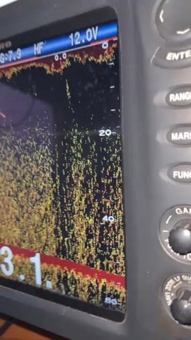 A man with gray hair and glasses sits at the helm of a boat, steering with a large wooden wheel. He is wearing a yellow and blue shirt. To his right, a fish finder screen displays a sonar image of the water below, showing depth and potential fish. The screen indicates a depth of 53.1 meters. Other navigational equipment and a computer monitor are visible on the dashboard. The boat is on the water, with the sea and a hazy sky visible through the windows.