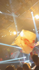 Crowd waves BUSHKO flags at a lively indoor event