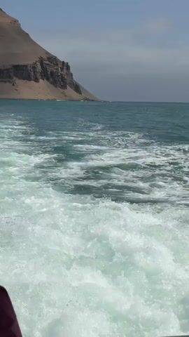 This is a vertical video shot from a moving boat. The camera is looking backwards, showing the turbulent wake of the boat on the ocean. In the distance, a rocky, arid coastline is visible under a hazy sky. A single bird is in flight over the water. The water is a deep blue-green and the sky is a pale blue with some clouds. The overall impression is one of travel and open water.