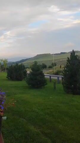 The video pans across a grassy lawn with several small pine trees and modern outdoor lights. Beyond the lawn, there is a paved road with a railing. In the background, rolling green hills dotted with trees stretch towards a cloudy sky. A tall utility pole is visible on the right side of the frame. The overall scene depicts a cultivated outdoor area with a scenic natural landscape.