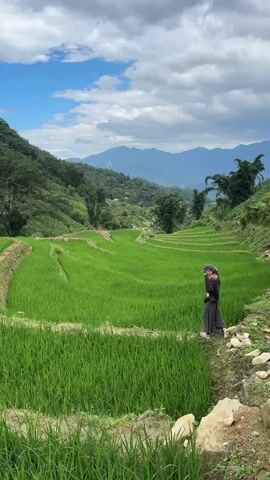 A woman stands in a bright green rice paddy, surrounded by hills and mountains under a partly cloudy sky. She is wearing a dark jacket, grey pants, a blue baseball cap, and appears to be adjusting the strap of a bag or camera. The rice paddy is terraced and the background includes dense green hills and distant blue mountains. The ground near the camera is rocky and covered with green vegetation.