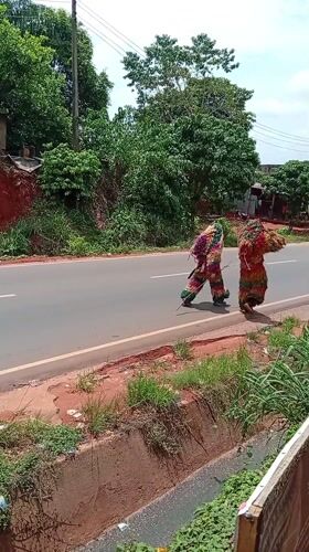 Traditional Igbo masqueraders walk paved road in Nkpor, Nigeria