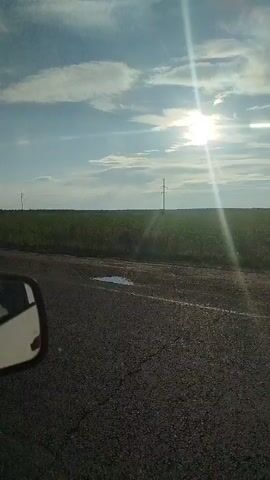 The video shows a view from inside a vehicle, looking out the side window. The vehicle is driving on a road that appears to be asphalt with some gravel. To the left, the side mirror of the vehicle is visible. The road is bordered by a large, green, open field. In the distance, there are utility poles. The sky is blue with some clouds, and the sun is shining brightly, creating a lens flare effect. The overall impression is of driving through a rural landscape on a sunny day.