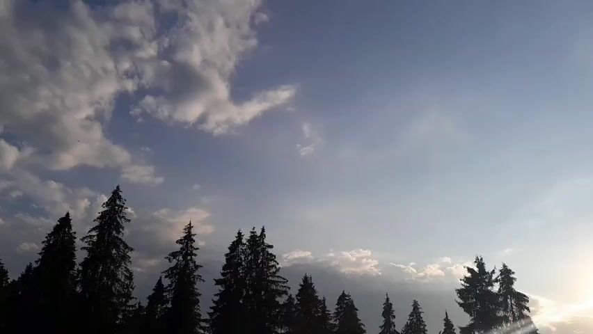 The video shows a silhouetted row of evergreen trees against a sky with clouds and the sun. The sun appears to be setting on the right side of the frame, casting a gentle light through the clouds. The trees are dark and appear to be in a forest or on the edge of one. The sky is a pale blue with wispy white clouds scattered throughout. The overall mood is peaceful and serene.