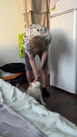 A young man with short blonde hair, wearing a white patterned t-shirt and dark shorts, is interacting with a white and ginger cat indoors. He initially bends over to pet the cat, which is on the floor. He then lifts the cat and places it onto a bed covered with a grey blanket and a white sheet. The man then pets the cat's belly as the cat rolls onto its back, appearing relaxed and playful. The setting includes a white refrigerator, a door with hanging fabric, and a wooden table with a pink bottle and a white cylindrical object. A dark bag with the text "THOMAS MÜNZ" is visible on the floor. The room features light-colored walls and a dark wooden floor.