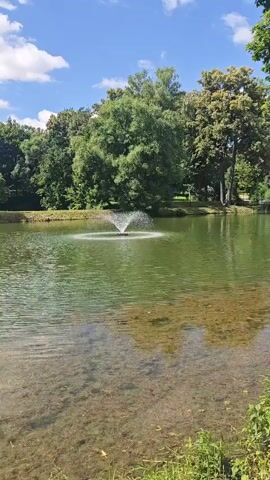 A water fountain sprays water into the center of a lake. The lake has clear water near the edge, showing the bottom. Trees line the far side of the lake, and the sky is blue with white clouds.