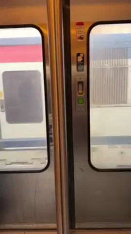The video shows the doors inside a train car while the train is in motion. The doors are metallic and have windows, through which a blurry image of another train car can be seen. The other train car is white with blue and red stripes and has a logo with a green leaf and the letters SNCF. The interior of the train car is well-lit. There is a vertical silver pole and a door-opening mechanism with a green button. Occasional blurry silhouettes of people can be seen reflected in the windows of the doors.